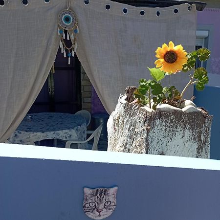 La Gatta Studio Gaios Bagian luar foto